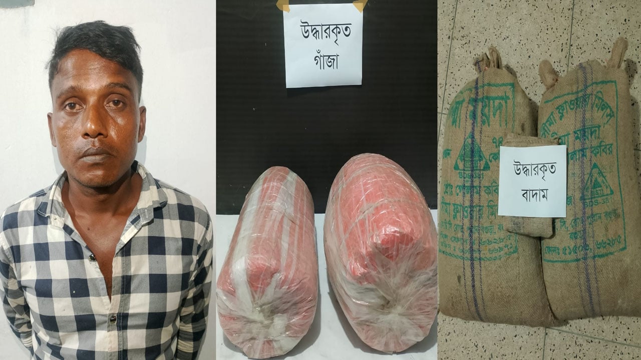 বাদামের পার্সেলে মিলল সাড়ে ১৪ কেজি গাঁজা