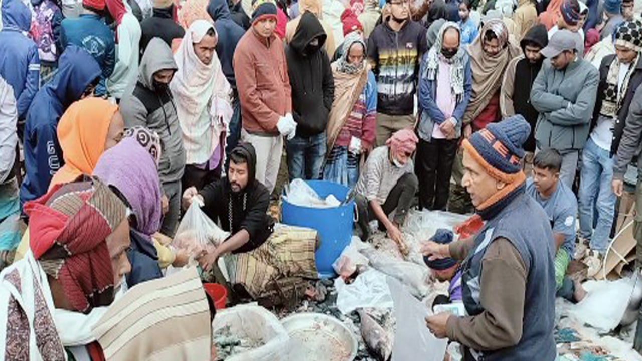 জামাই মেলা এখন মাছের মেলা, কোটি টাকার বেচাকেনা