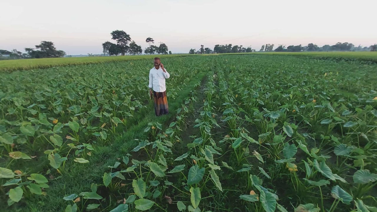 লতিরাজে আশার আলো ছড়ালেন কৃষক কামাল