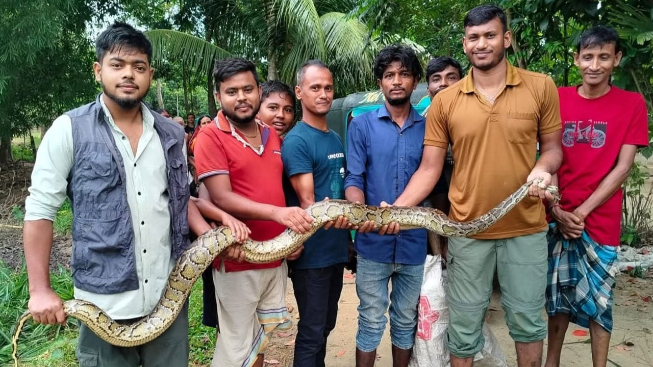 লাউয়াছড়ায় অবমুক্ত ১০ ফুটের অজগর