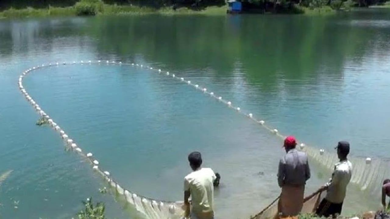 কাপ্তাই হ্রদে মৎস্য আহরণে নিষেধাজ্ঞা