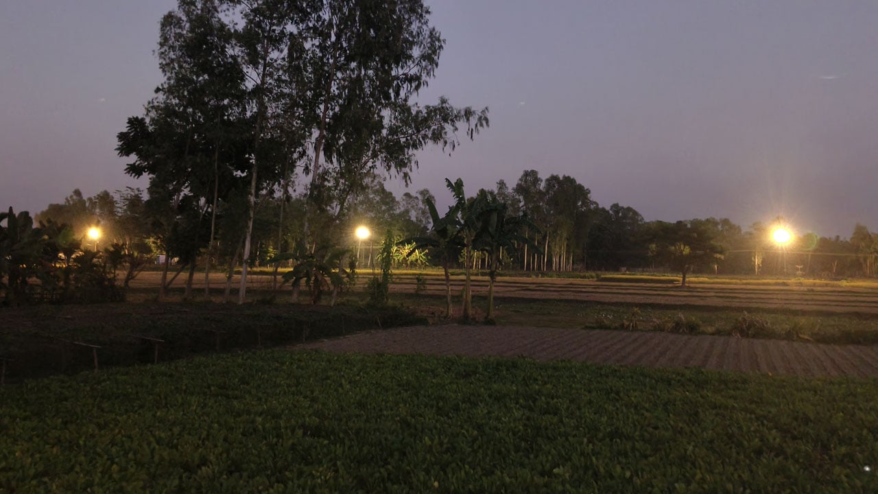 ভারতীয় আগ্রাসন বাংলাদেশের ফসলের ক্ষেতে