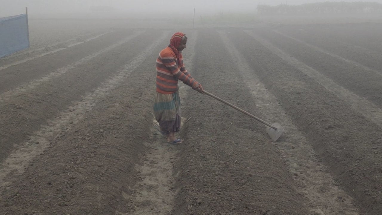 শীতে কাঁপছে লালমনিরহাট, চরাঞ্চলে দুর্ভোগ চরমে