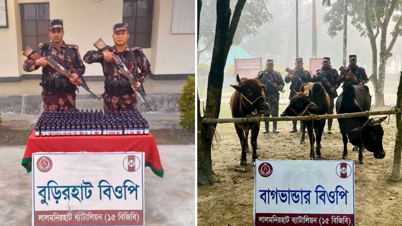 সীমান্তে বিজিবির বিশেষ অভিযানে ভারতীয় গরু ও ইস্কাফ সিরাপ জব্দ