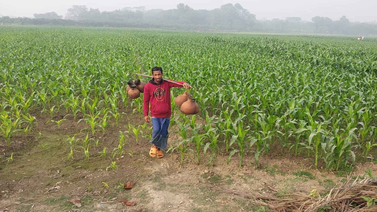 তীব্র শীতে কাঁপছে চুয়াডাঙ্গা, সর্বনিম্ন তাপমাত্রা রেকর্ড
