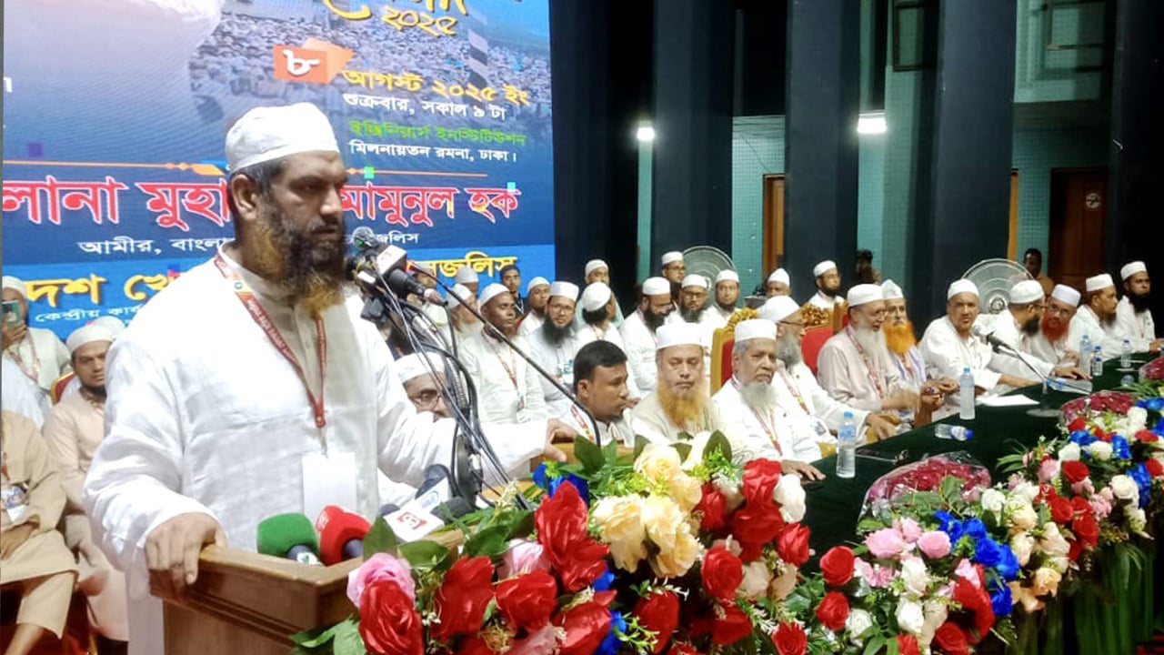 সংস্কারের দায়িত্ব পালনে সরকার ব্যর্থ: মামুনুল হক