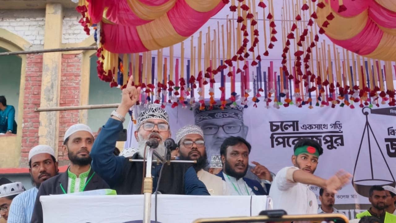 আসুন সকলে মিলেমিশে ঐক্যবদ্ধভাবে উন্নয়ন করি: মাসুদ সাঈদী