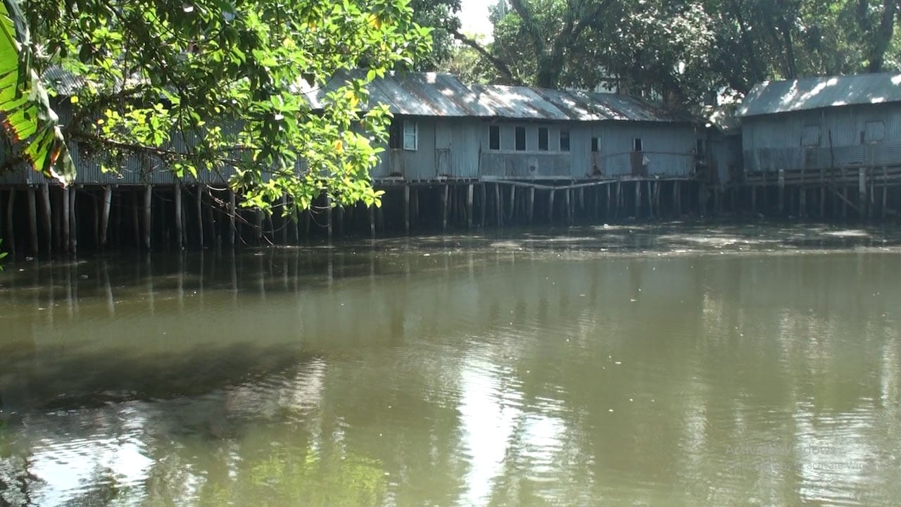 নাজিরপুরে শতবর্ষী কালীবাড়ি পুকুর এখন অবৈধ দখলে