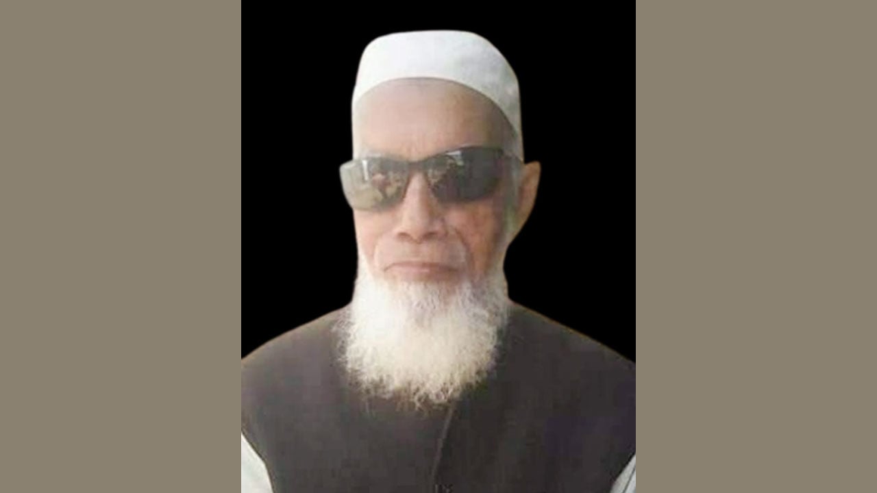 ভাষা সৈনিক সামসুল ইসলাম হায়দার আর নেই