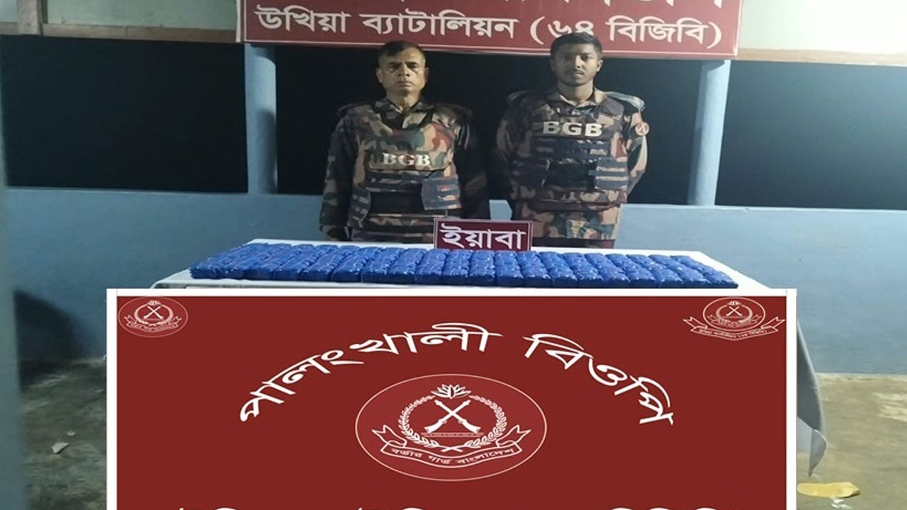 পালংখালী সীমান্তে বিজিবির অভিযান, ২ লাখ পিস ইয়াবা জব্দ 