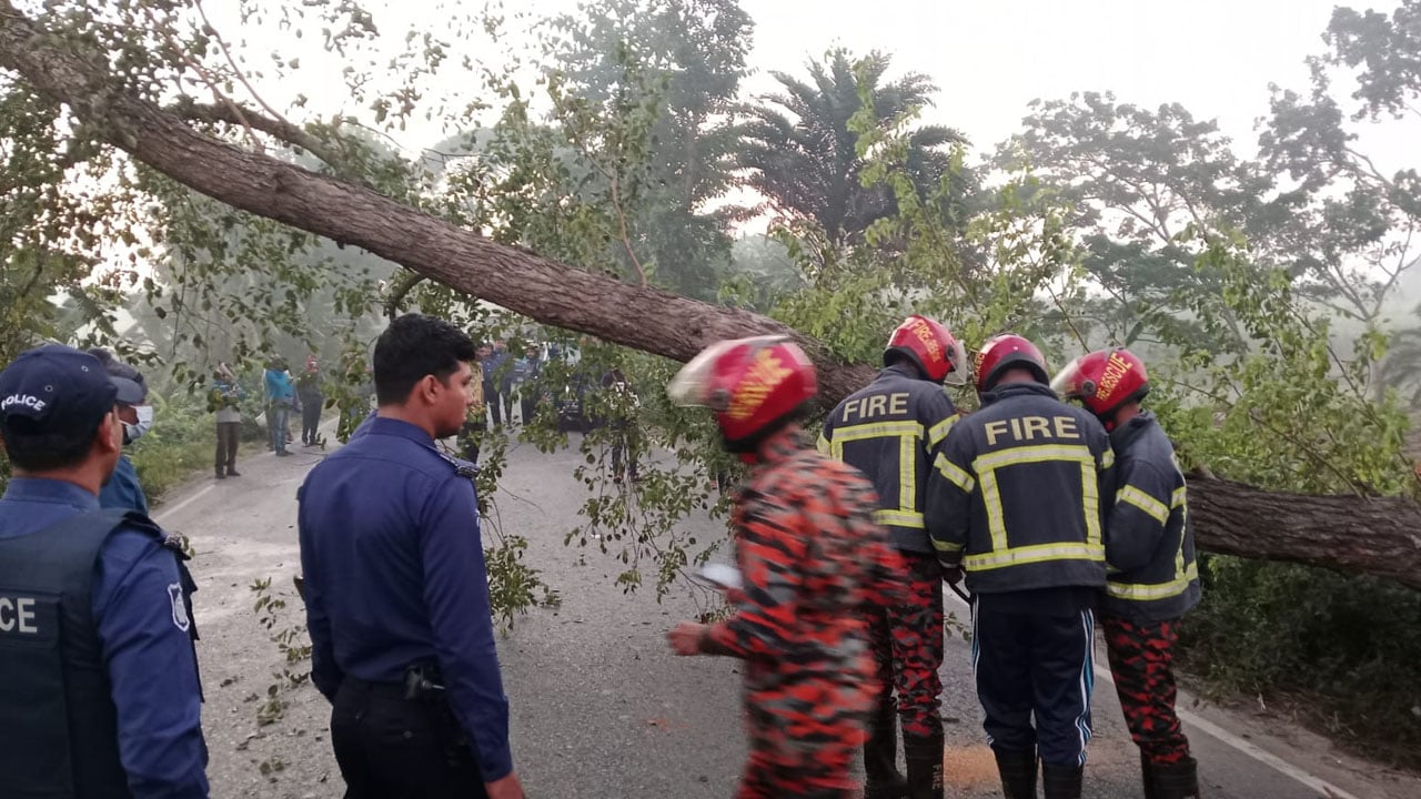 মহাসড়কে গাছ ফেলে ব্যারিকেড, দুই ঘণ্টা পর যান চলাচল স্বাভাবিক