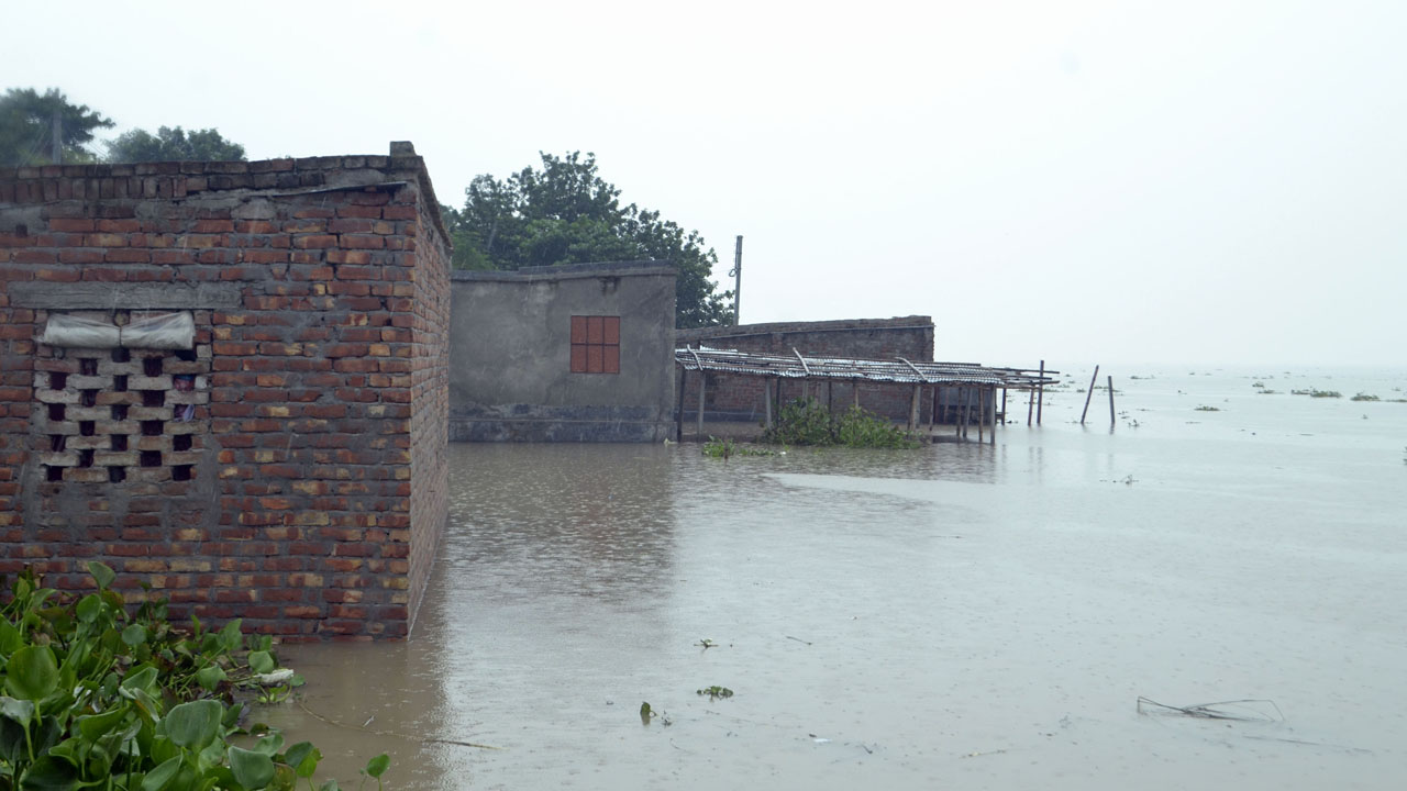 ভারতের পাহাড়ি ঢলে পদ্মা বিপদসীমা ছুঁই ছুঁই