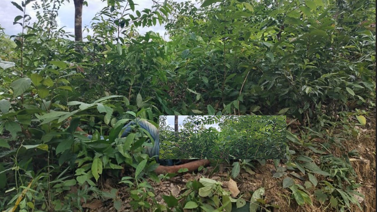 ঘুমধুমে জবাই করে মোবাইল ও ইজিবাইক লুট