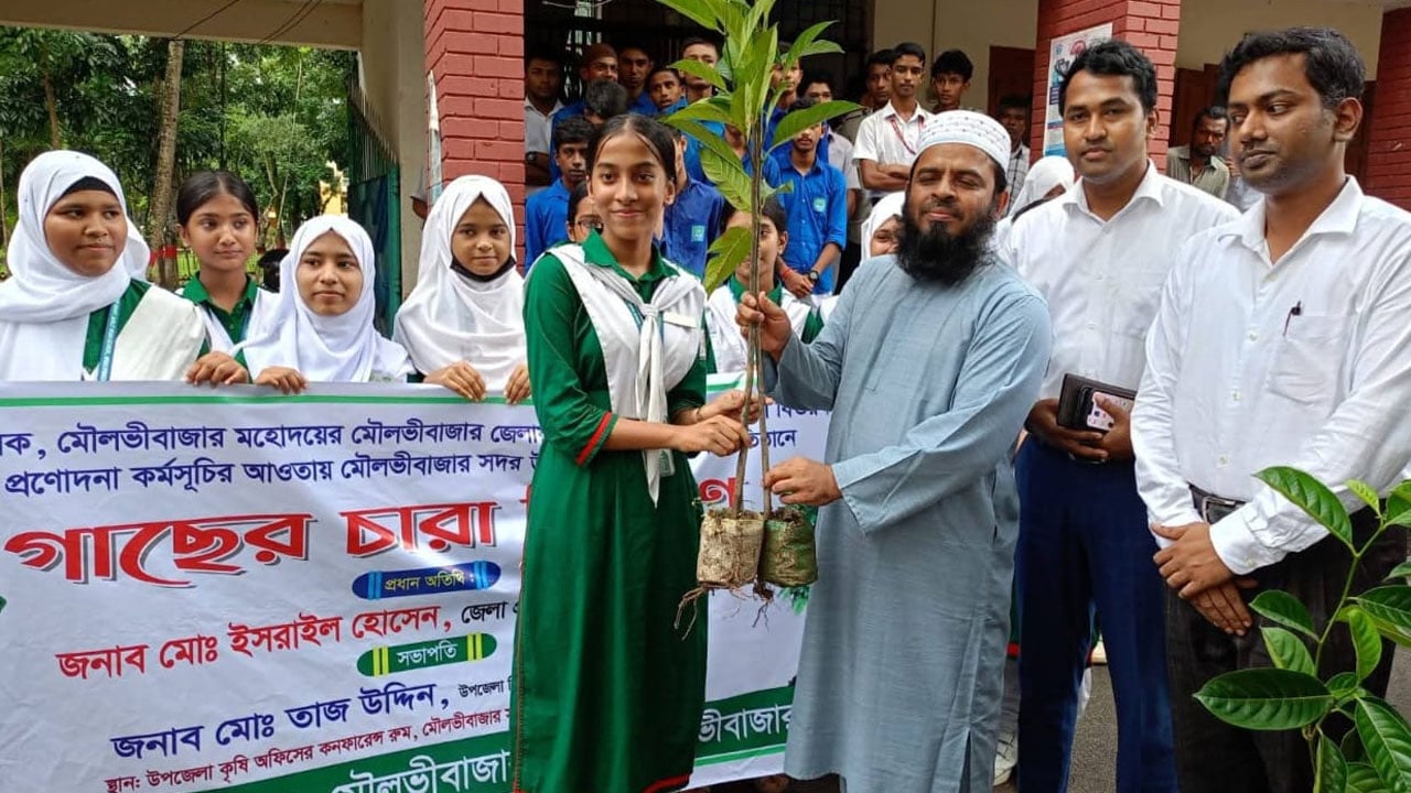 সবুজের ডাক: মৌলভীবাজারে লাখ চারা বিতরণ