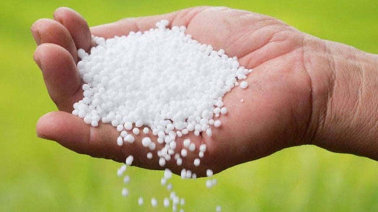 সারের দাম বেশি নেয় ডিলার, না দেখার ভান কৃষি কর্মকর্তার