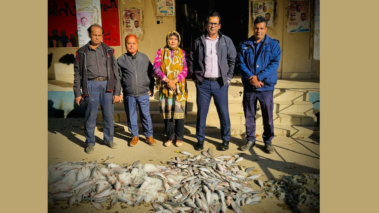 সাভারে জেলিযুক্ত চিংড়ি মাছ ও জাটকা উদ্ধার