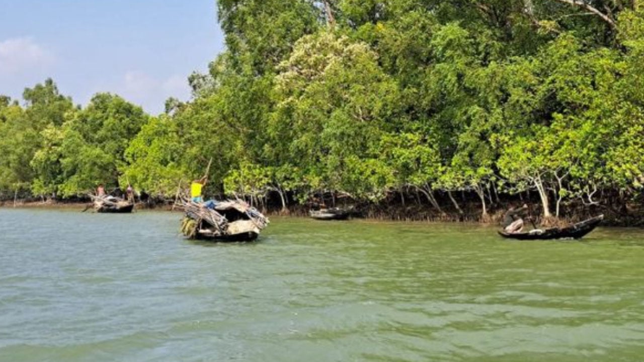 সুন্দরবনে ২০ জেলেকে অপহরণের পর ‘ডন বাহিনী’র মুক্তিপণ দাবি