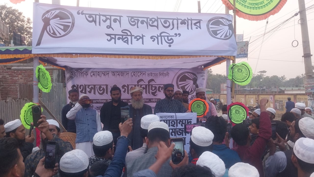 বিলাসী জীবন ত্যাগ করে সন্দ্বীপবাসীর সেবা করতে এসেছি: অধ্যাপক আমজাদ