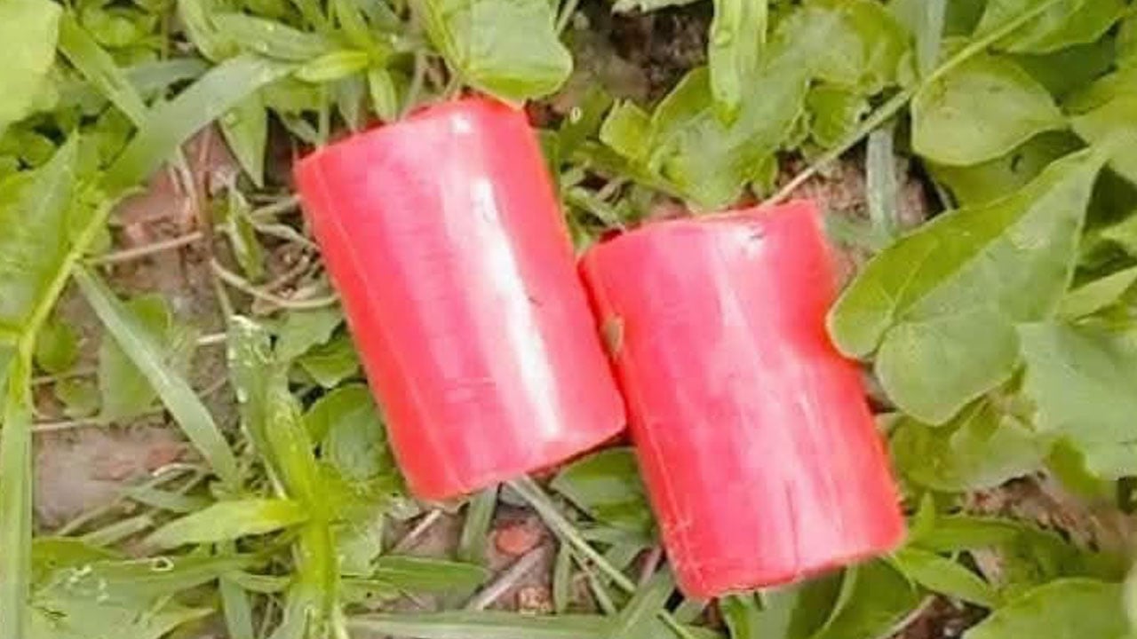 সাতক্ষীরায় বিএনপি অফিসের সামনে থেকে ককটেল উদ্ধার