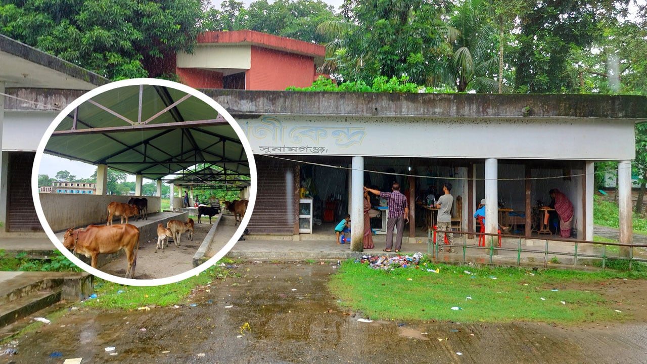 কোটি টাকার গ্রোথ সেন্টার মার্কেট এখন গরু-ছাগলের অবাধ বিচরণক্ষেত্র