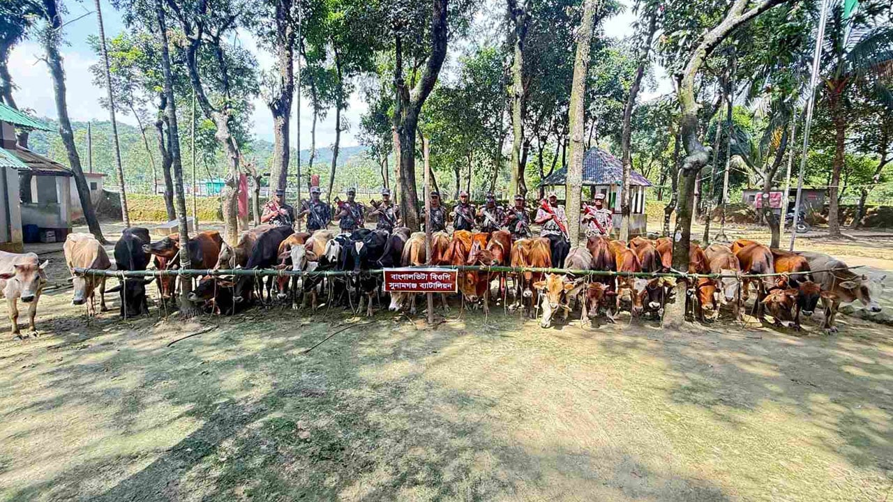 বিজিবি টহল দলের ওপর চোরাকারবারিদের হামলা, গরুসহ ট্রলার জব্দ