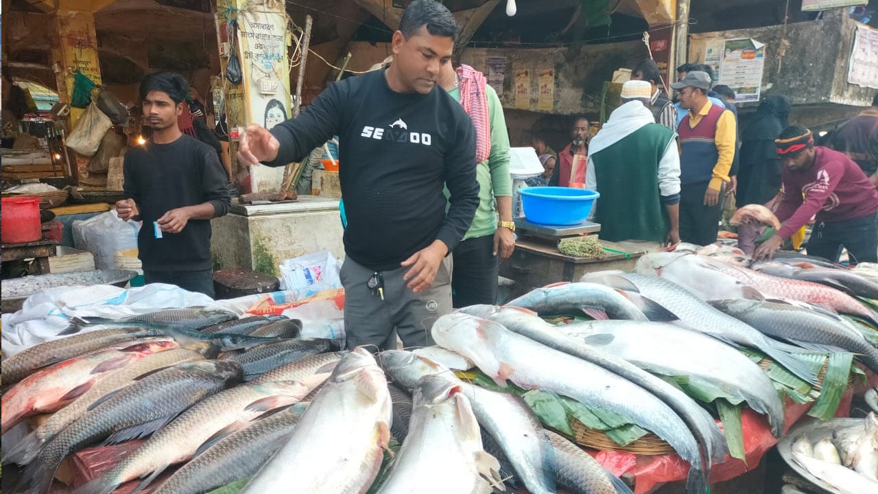 শ্রীমঙ্গলে বড় মাছের সমারোহে উৎসবমুখর বাজার