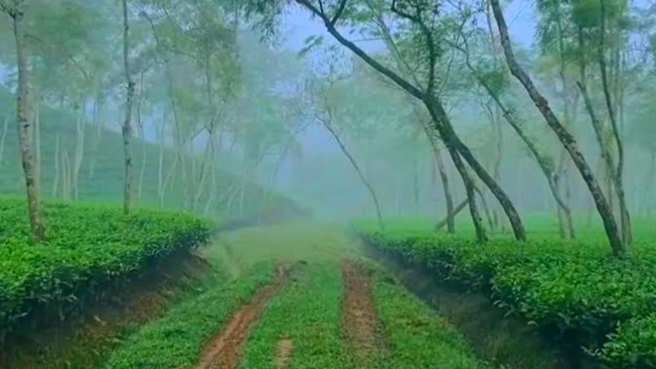 দেশের সর্বনিম্ন তাপমাত্রা রেকর্ড শ্রীমঙ্গলে