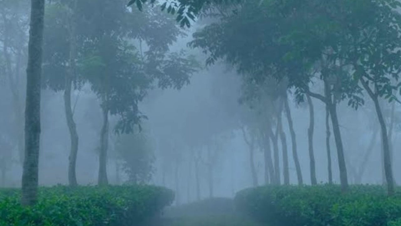 দেশের সর্বনিম্ন তাপমাত্রা শ্রীমঙ্গলে