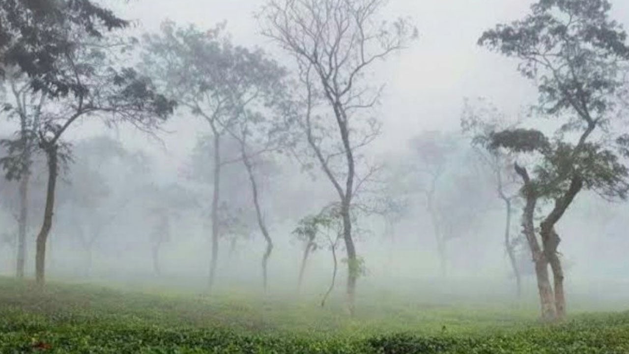 দেশের সর্বনিম্ন তাপমাত্রা আজ শ্রীমঙ্গলে