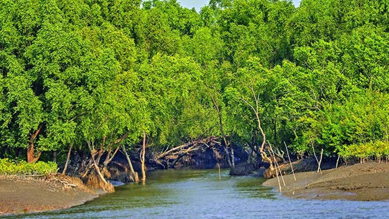 সোমবার থেকে টানা তিন মাস সুন্দরবনে প্রবেশ নিষিদ্ধ
