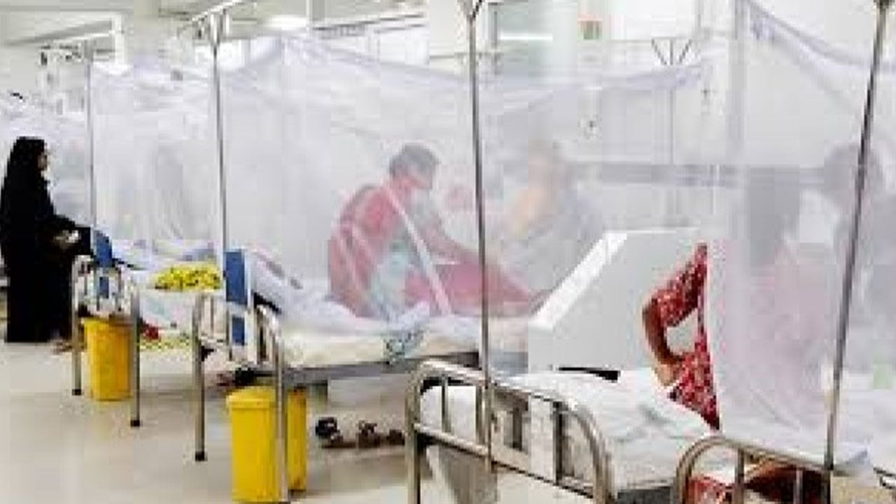 সিলেটে নভেম্বরে ১৬৭ জনের ডেঙ্গু শনাক্ত, দুইজনের মৃত্যু