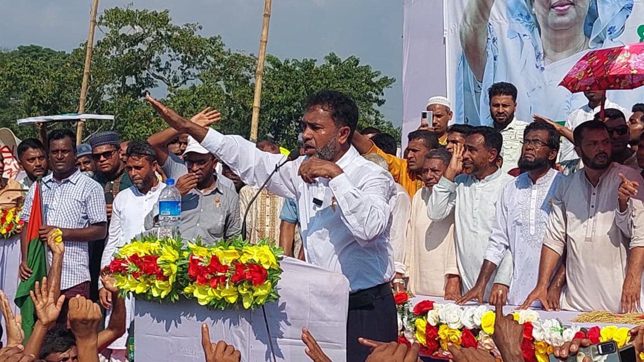 জনগণ চাইলে তারেক রহমান ধানের শীষ আমার হাতে তুলে দেবেন: আনিসুল হক