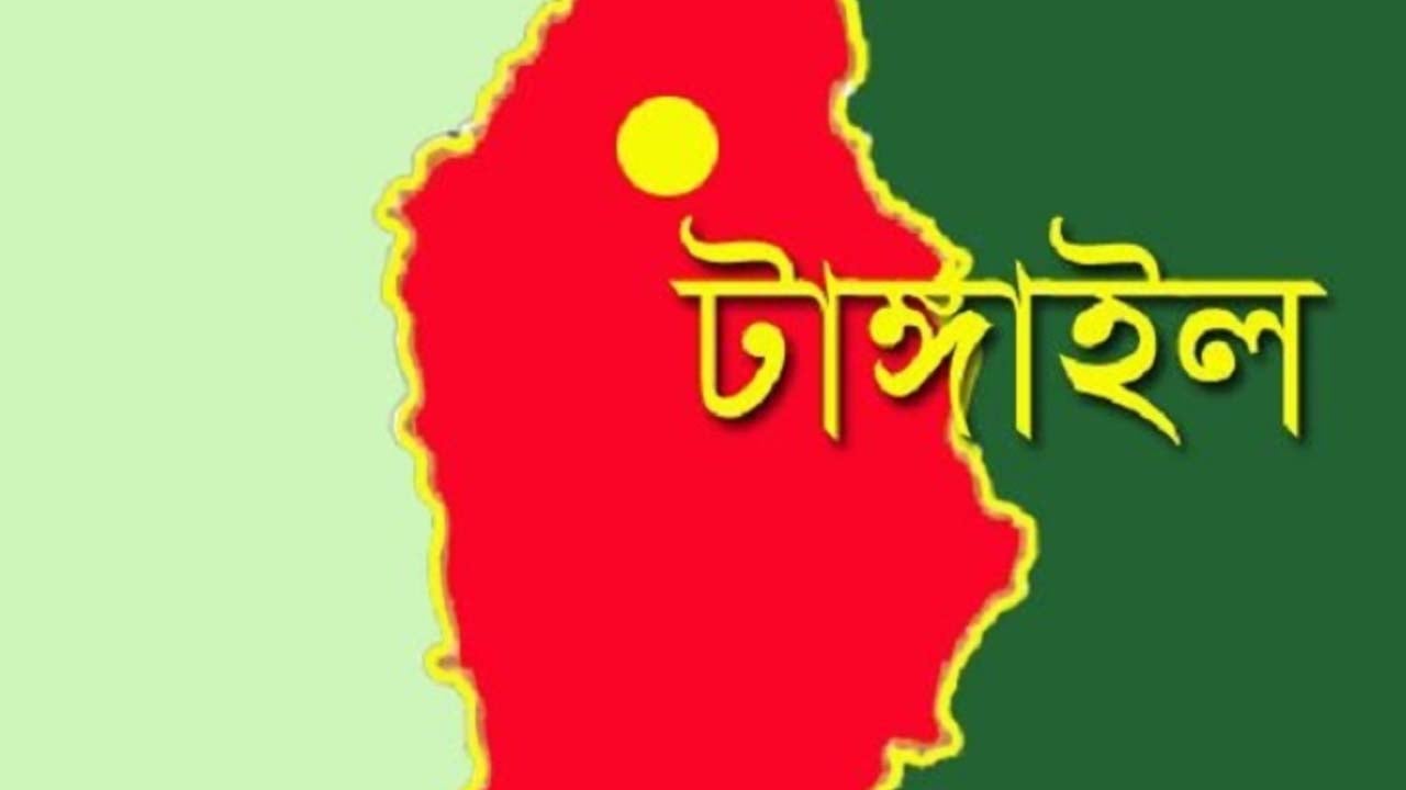 টাঙ্গাইল-৫ আসনে স্বতন্ত্র প্রার্থীর মিছিলে অসুস্থ হয়ে দুই সমর্থকের মৃত্যু