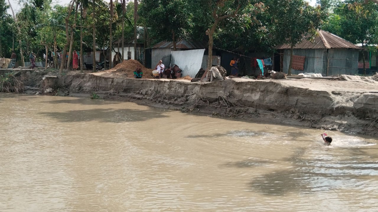থামছে না অবৈধ বালু উত্তোলন, তিস্তার ভাঙনে দিশেহারা মানুষ