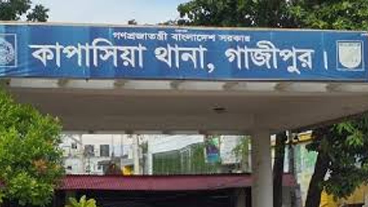 কাপাসিয়ায় দুই ছাত্রদল নেতাকে মারধরের অভিযোগ