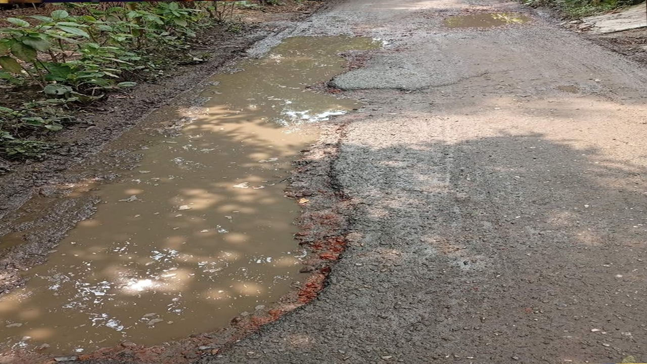 সাটুরিয়ায় খানাখন্দে ভরা সড়কের বেহাল দশা, জনদুর্ভোগ চরমে