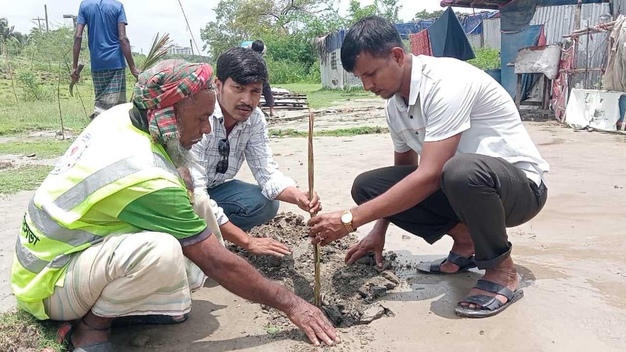 কুয়াকাটায় ঝড়-বন্যা মোকাবিলায় শতাধিক তালের চারা রোপণ