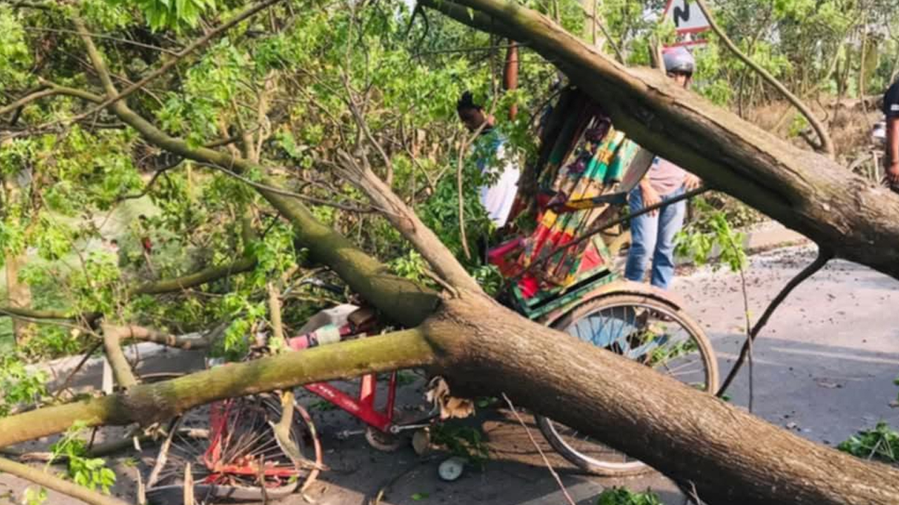 গাছের নিচে চাপা পড়ল রিকশা, চালকসহ আহত ২