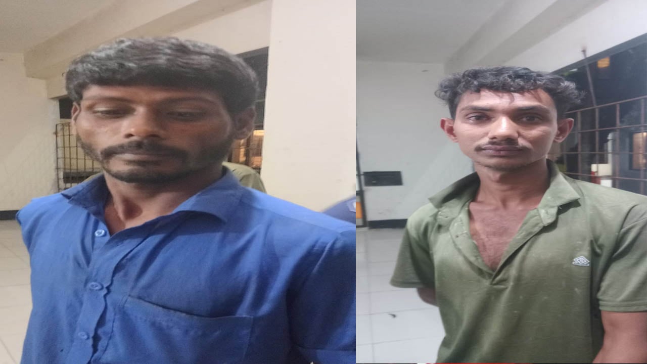 আড়াইহাজারে ধর্ষণ চেষ্টার সন্দেহে আটক ২