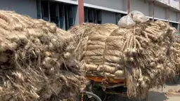 গ্যাস-বিদ্যুৎ সংকটে বন্ধের পথে বগুড়ার পাটকল