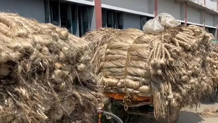 গ্যাস-বিদ্যুৎ সংকটে বন্ধের পথে বগুড়ার পাটকল
