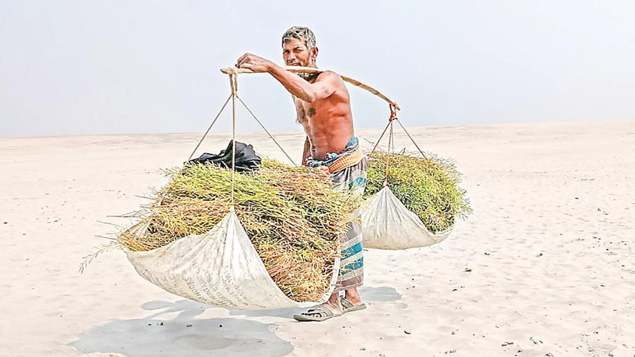 ভারতের পানি আগ্রাসনে নাব্য সংকট, বন্ধ যমুনার ৮ নৌপথ