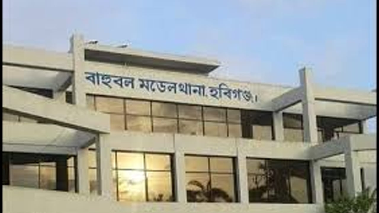 বাহুবলে বিদ্যুৎপৃষ্টে পিতা-পুত্রের মৃত্যু
