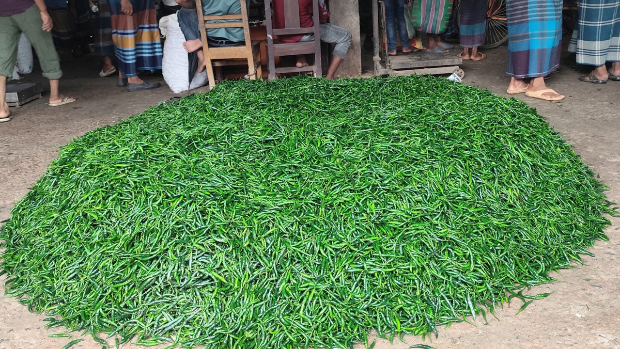 কাঁচা মরিচের কেজি ২০০ টাকা