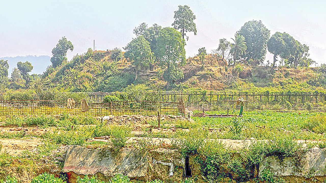 বাংলাদেশ-মিয়ানমার সীমান্তে ২৮ কিলোমিটারজুড়ে মাইন আতঙ্ক