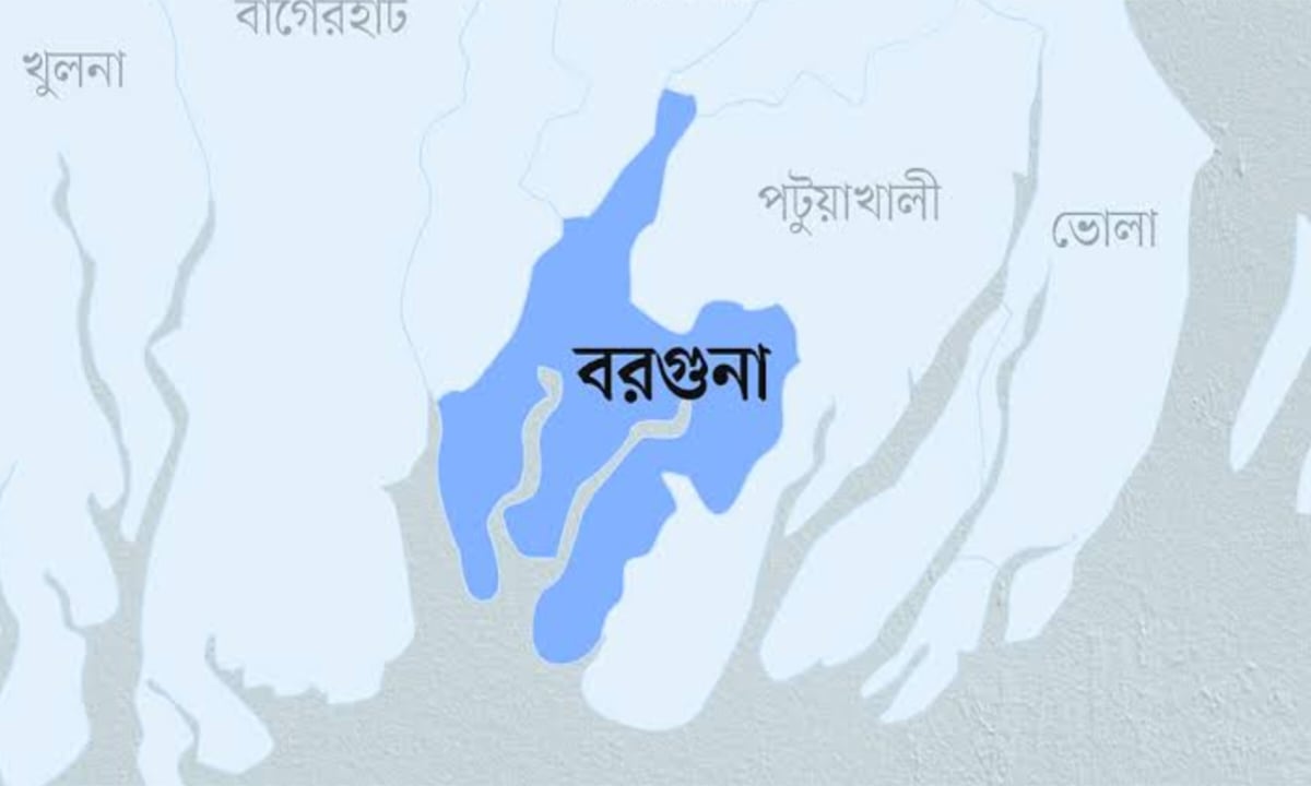 বরগুনায় নিজ বাসা থেকে স্বামী-স্ত্রীর লাশ উদ্ধার