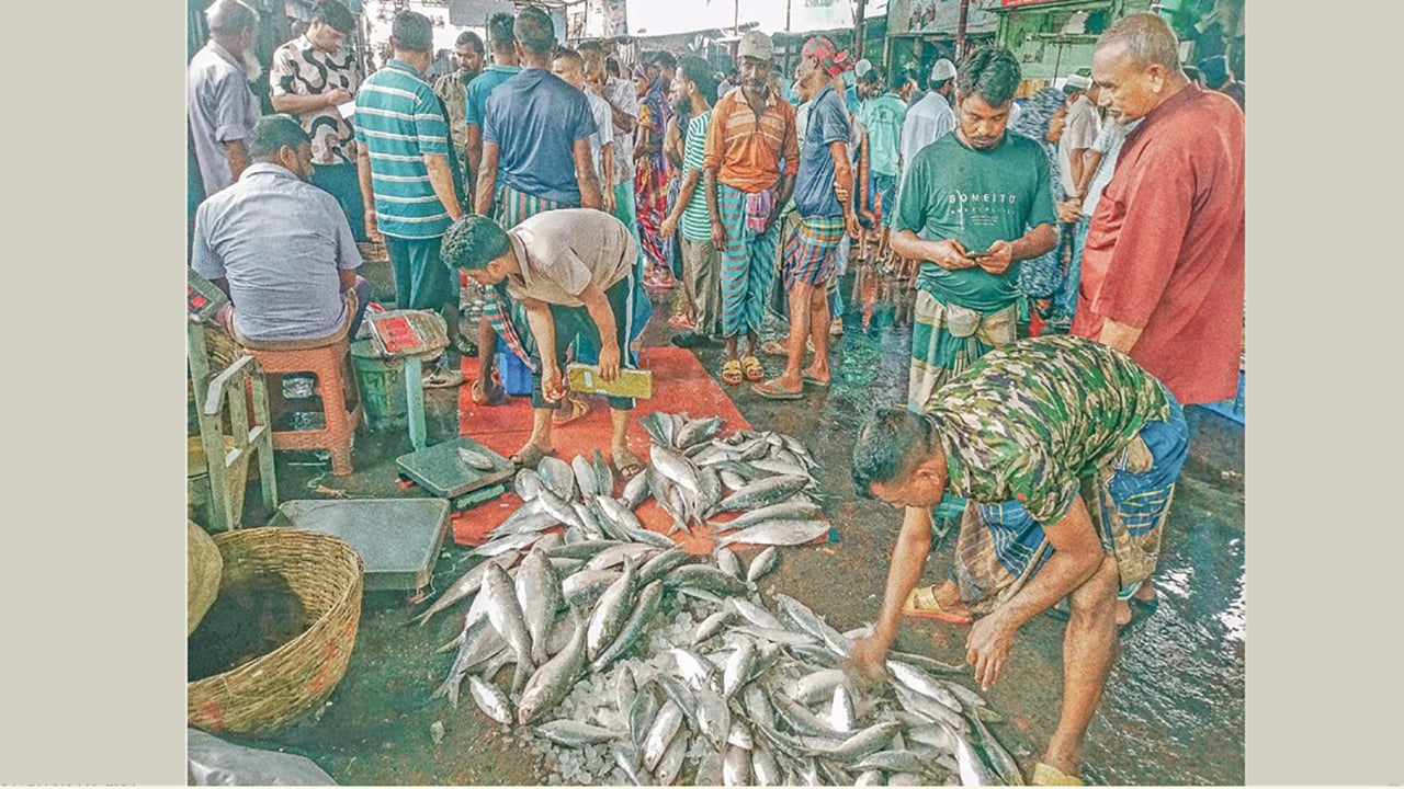 ইলিশের জন্য হাহাকার বরিশালের আড়ত শূন্য