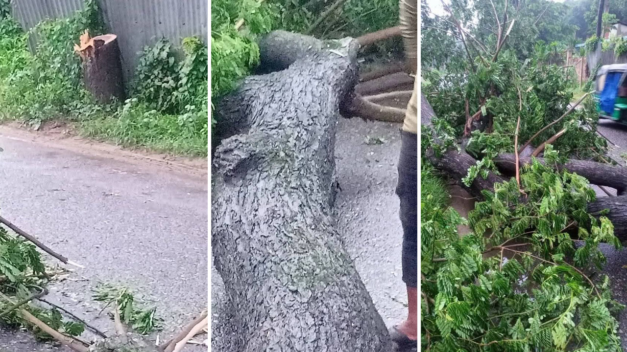সড়কে গাছ ফেলে পালালো আ.লীগের নেতাকর্মীরা