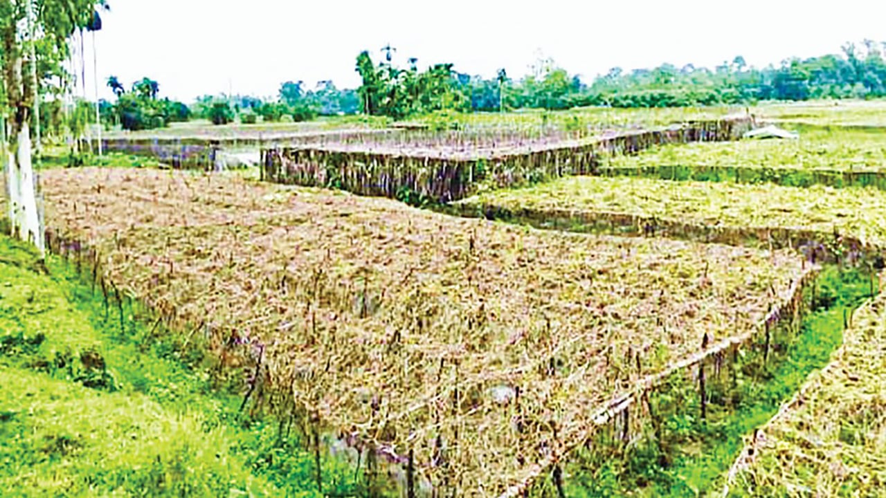 বাঁশখালীতে বন্যায় ২৭ হাজার কৃষক ক্ষতিগ্রস্ত