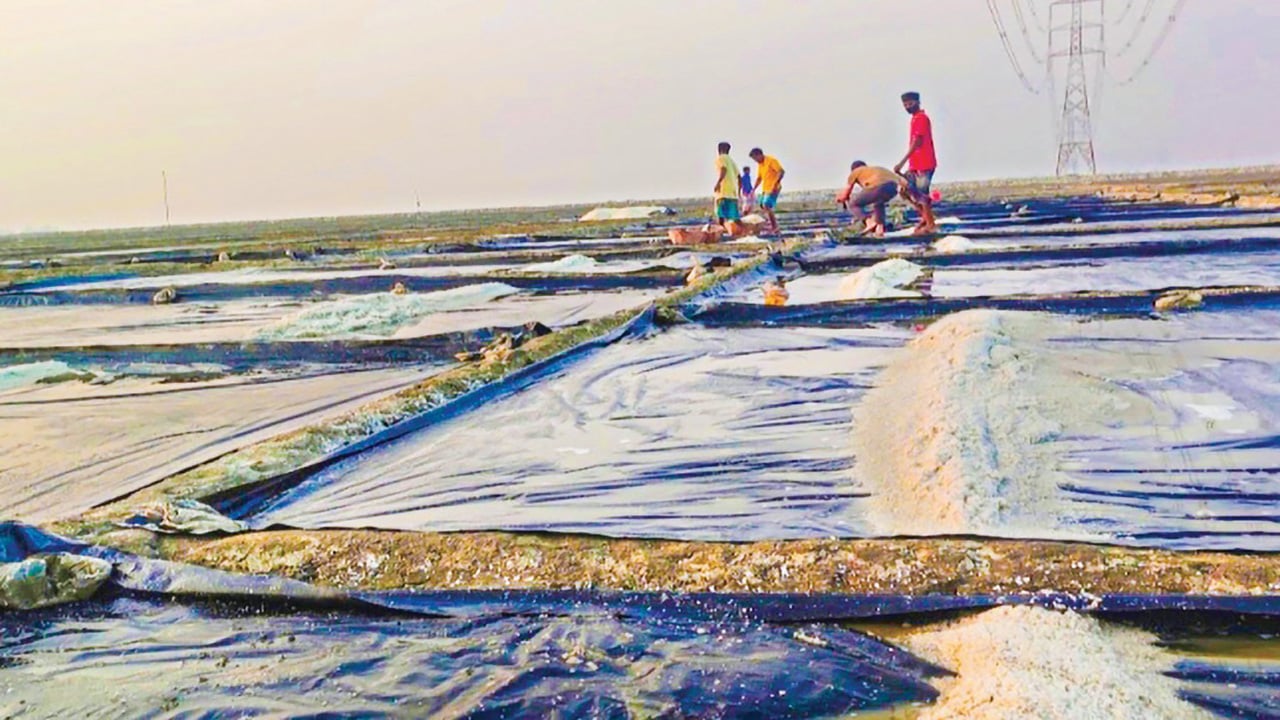 কুয়াশায় লবণ চাষ ব্যাহত বাঁশখালীতে